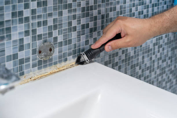 Best Fast Mold Removal  in Waverly, NY